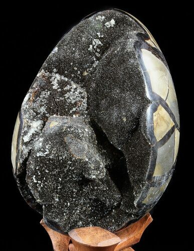 Septarian Dragon Egg Geode - Black Crystals #56401